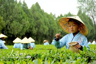 雷竞技reybat不能下载了吗截图0